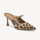 Leopard / 5