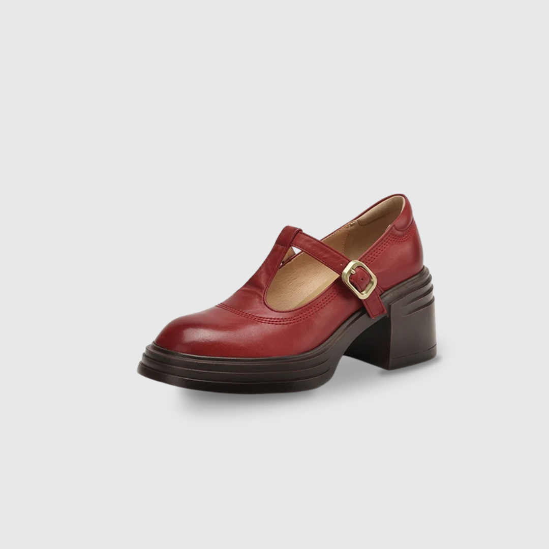 Stylish Leather Mary Jane Shoes for Women with T Strap Buckle Platform Chunky Heel Vintage Style