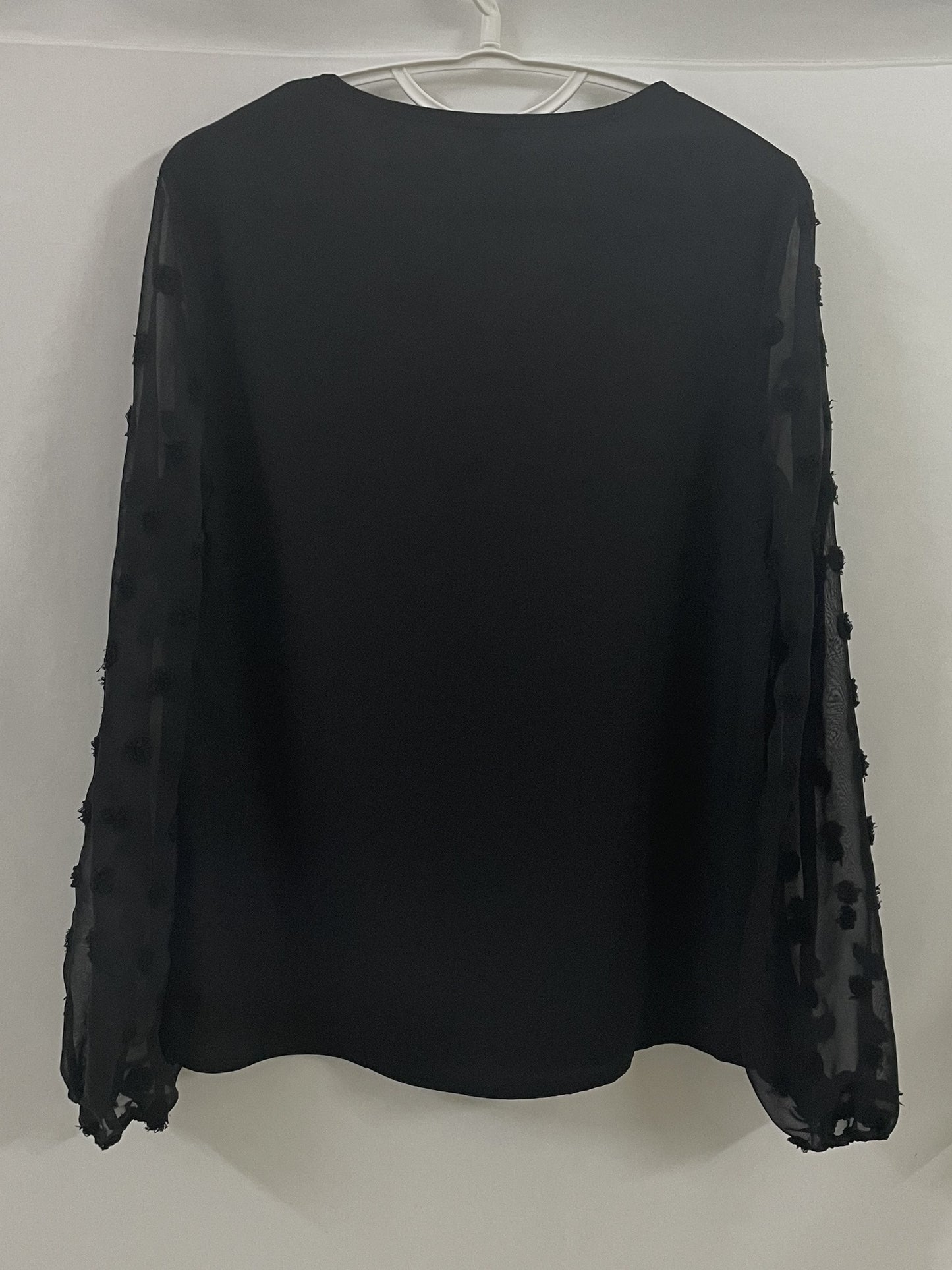 Effortless Swiss Dot Blouse for Women with V Neck Bishop Sleeve Textured Chiffon Casual Style