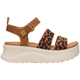Leopard / 5