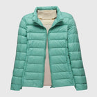 Turquoise Stand-up collar